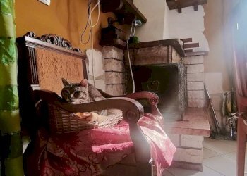 Foto 12 - Villa a Schiera C.da Santa Maria, Vinchiaturo - foto 12