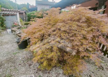 Foto 38 - Villa a Schiera C.da Santa Maria, Vinchiaturo - foto 38