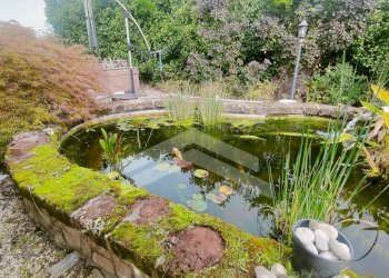 Foto 42 - Villa a Schiera C.da Santa Maria, Vinchiaturo - foto 42