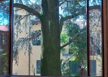 Vista - Trilocale Varese - foto 3