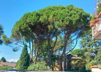 Zona - Trilocale Varese - foto 9