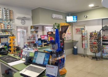 Interno non residenziale - Bar - Tabacchi - Ricevitoria Pinerolo - foto 4