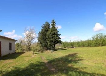 Casale Feisoglio - photo 7