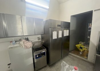 Negozio Via Roma, 31, Cuneo (zona Centro Storico) - foto 14