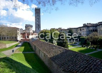 Ufficio Lucca (zona Sant'Anna) - foto 14