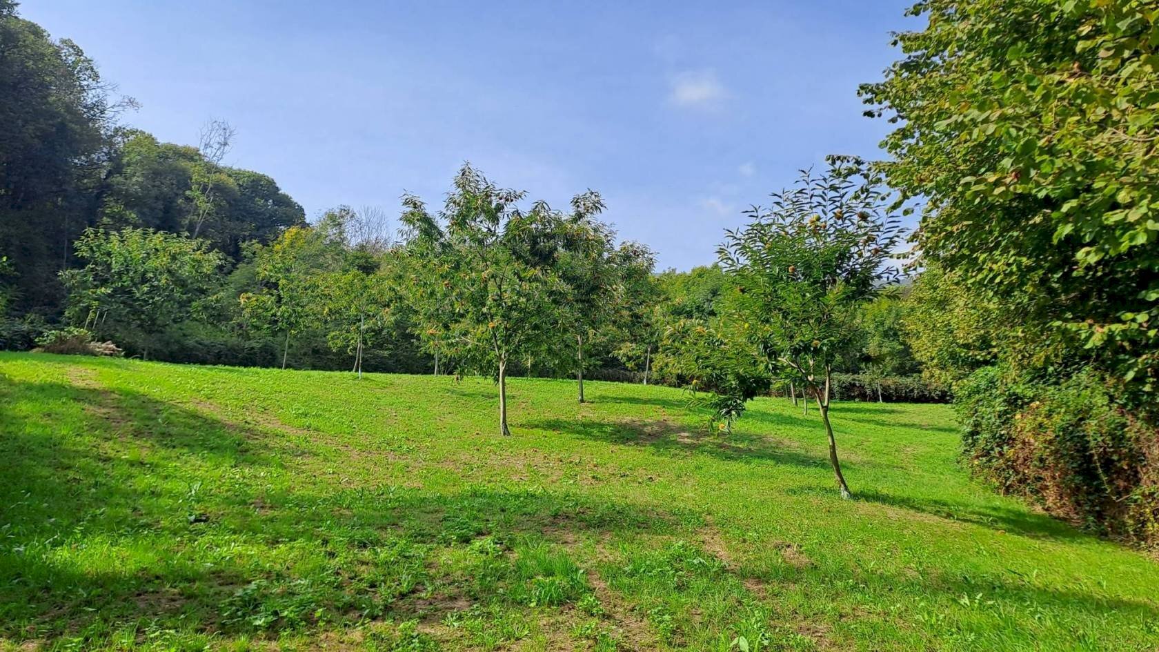 Agricultural land Strada Vicinale del Bricco dei Carle, Barge - photo 1