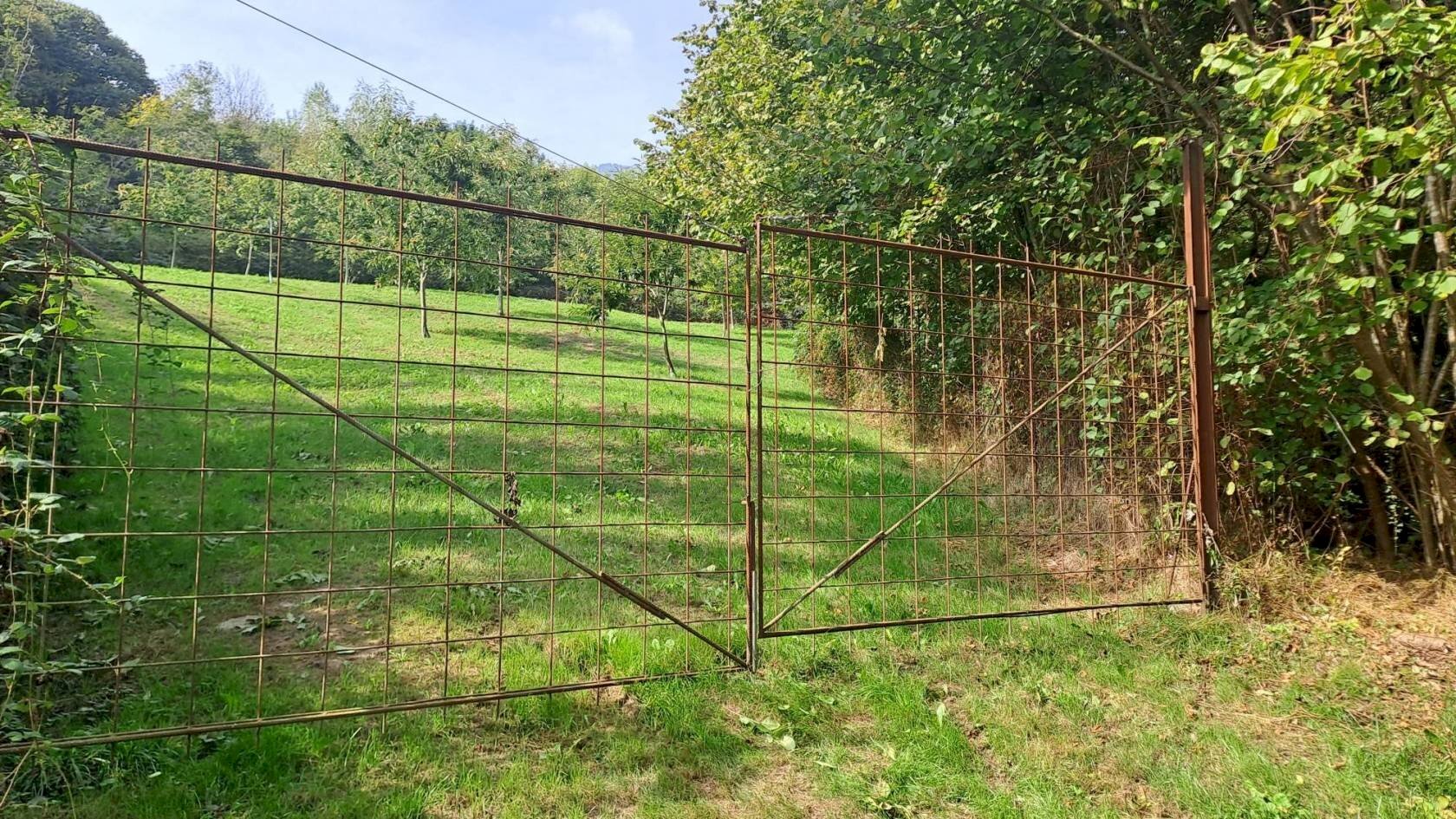 Agricultural land Strada Vicinale del Bricco dei Carle, Barge - photo 2