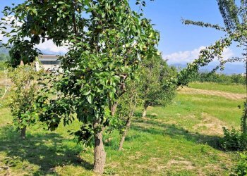 Villa Via Trasversale Ripoira, 42, Bagnolo Piemonte - foto 12