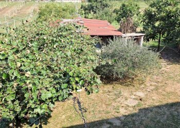 Villa Via Trasversale Ripoira, 42, Bagnolo Piemonte - foto 13