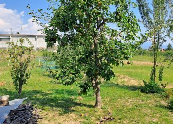 Villa Via Trasversale Ripoira, 42, Bagnolo Piemonte - foto 15