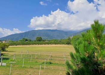 Villa Via Trasversale Ripoira, 42, Bagnolo Piemonte - foto 18