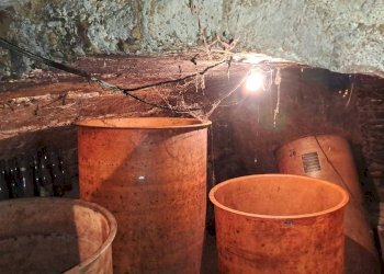 Casale Bagnolo Piemonte - photo 17