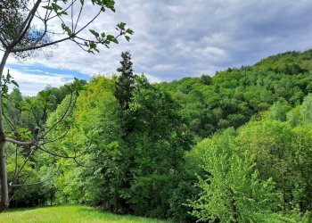 Rustic Via Biacanai, 13, Bagnolo Piemonte - photo 8