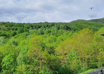 Rustic Via Biacanai, 13, Bagnolo Piemonte - photo 9