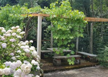 Casale Bagnolo Piemonte - foto 19