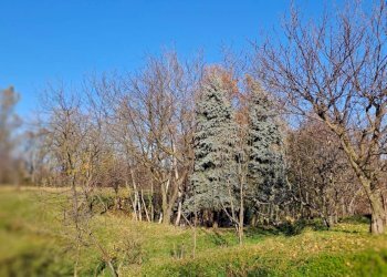 Villa Bagnolo Piemonte - foto 7