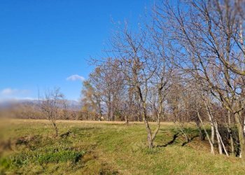Villa Bagnolo Piemonte - foto 8