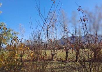 Villa Bagnolo Piemonte - foto 10