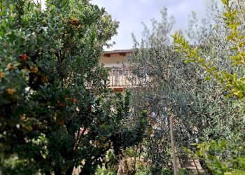 Casale Bagnolo Piemonte - foto 6