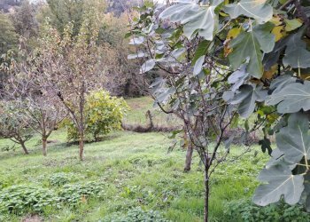 Casale Bagnolo Piemonte - foto 25