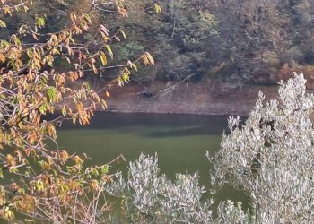 Casale Bagnolo Piemonte - foto 28