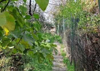 Casale Bagnolo Piemonte - foto 33