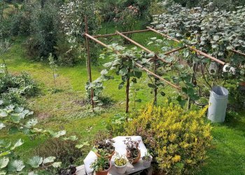 Villa Bagnolo Piemonte - foto 7