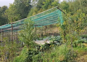 Villa Bagnolo Piemonte - foto 11