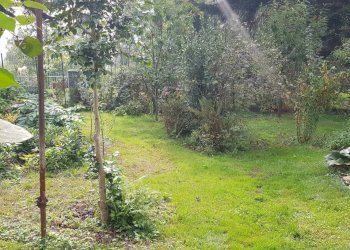 Villa Bagnolo Piemonte - foto 12