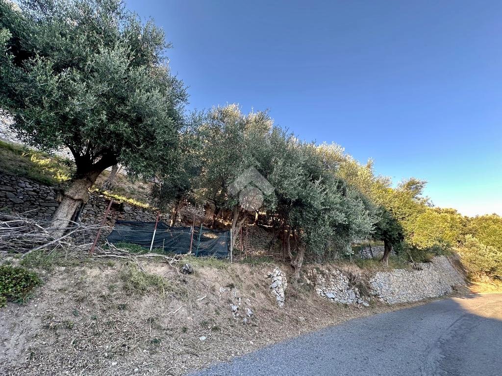 Terreno agricolo Via Manie, Finale Ligure - foto 2