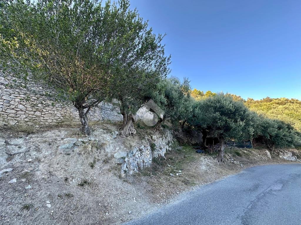 Terreno agricolo Via Manie, Finale Ligure - foto 3