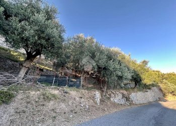 Terreno agricolo Via Manie, Finale Ligure - foto 2