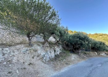 Terreno agricolo Via Manie, Finale Ligure - foto 3