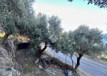 Terreno agricolo Via Manie, Finale Ligure - foto 4