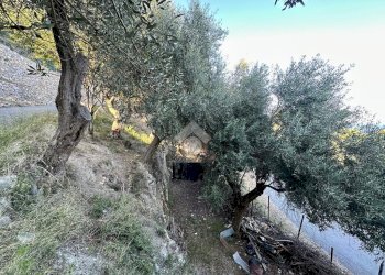 Terreno agricolo Via Manie, Finale Ligure - foto 5
