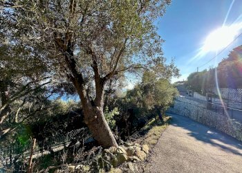 Terreno agricolo Via Manie, Finale Ligure - foto 8