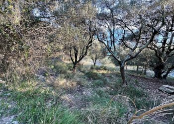 Terreno agricolo Via Manie, Finale Ligure - foto 9