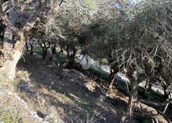 Terreno agricolo Via Manie, Finale Ligure - foto 10