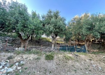 Terreno agricolo Via Manie, Finale Ligure - foto 12