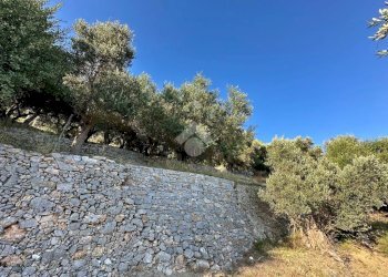 Terreno agricolo Via Manie, Finale Ligure - foto 13