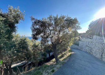 Terreno agricolo Via Manie, Finale Ligure - foto 14