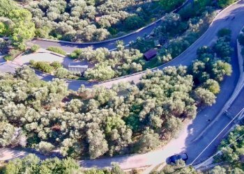 Terreno agricolo Via Manie, Finale Ligure - foto 16