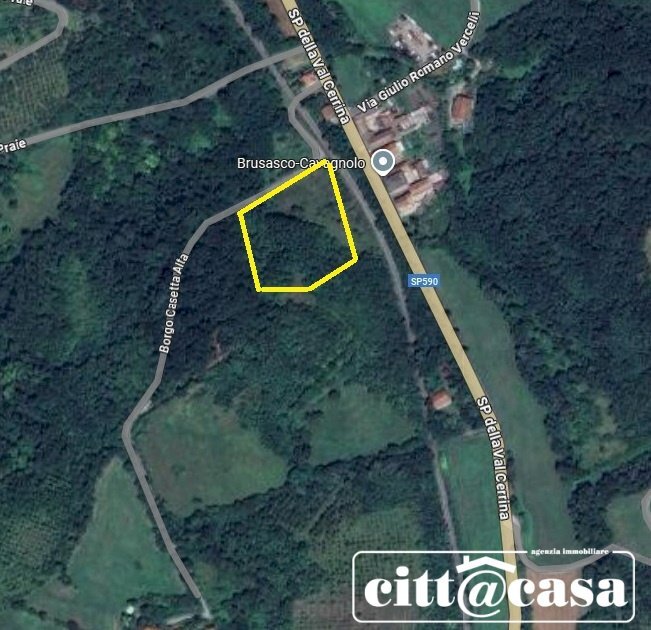 Terreno agricolo Brusasco - foto 1