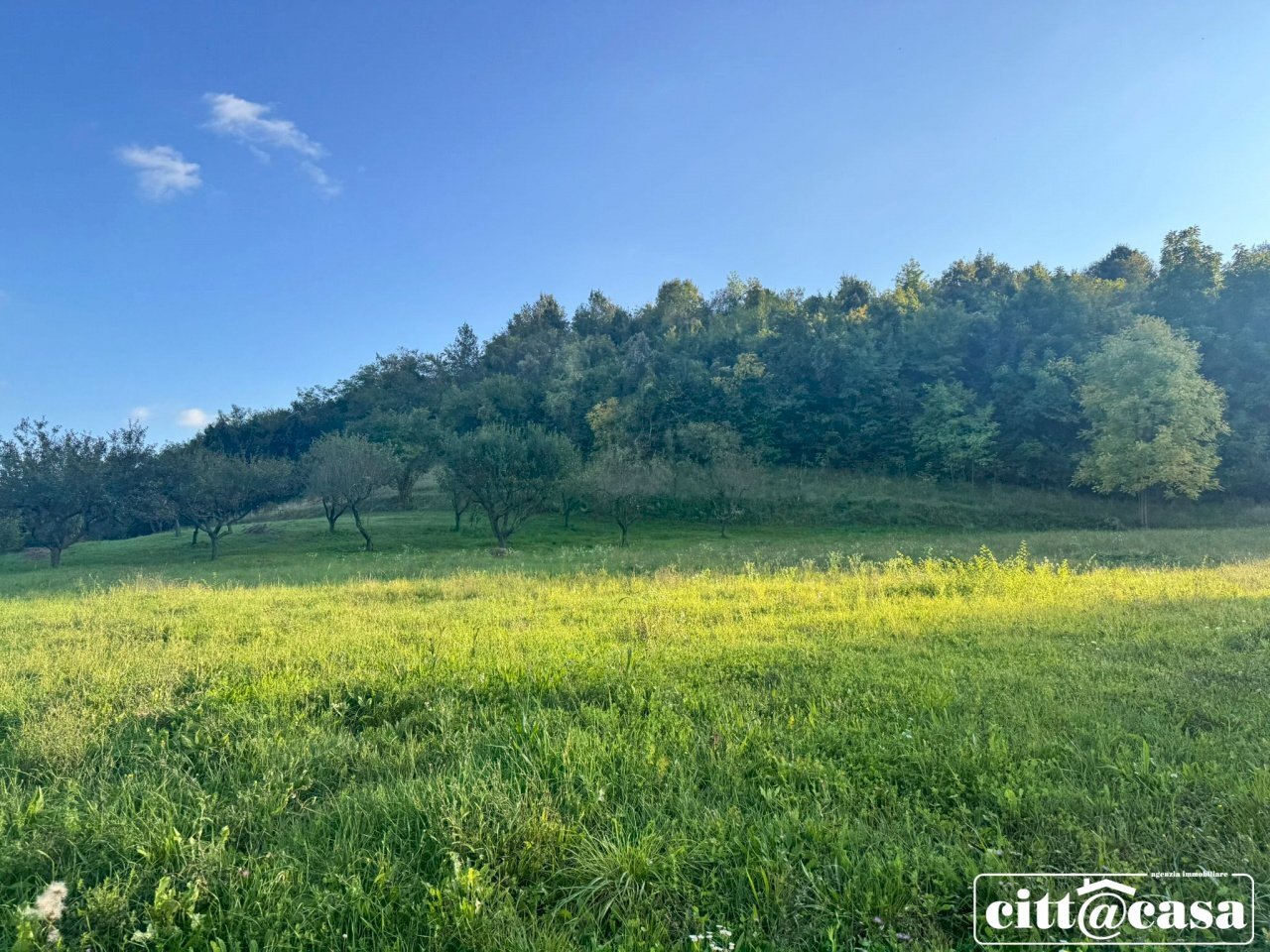 Terreno agricolo Brusasco - foto 2