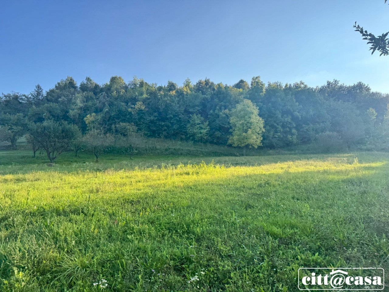 Terreno agricolo Brusasco - foto 3
