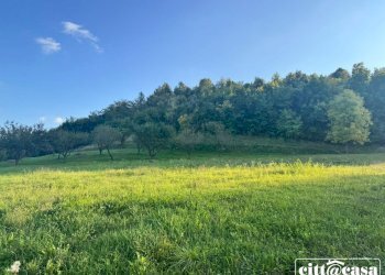 Terreno agricolo Brusasco - foto 2