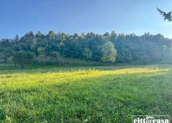 Terreno agricolo Brusasco - foto 3