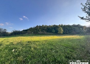 Terreno agricolo Brusasco - foto 4