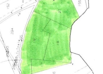 Terreno agricolo Brusasco - foto 5