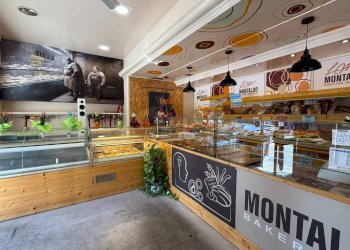 Panificio - Pastificio Alba - foto 3